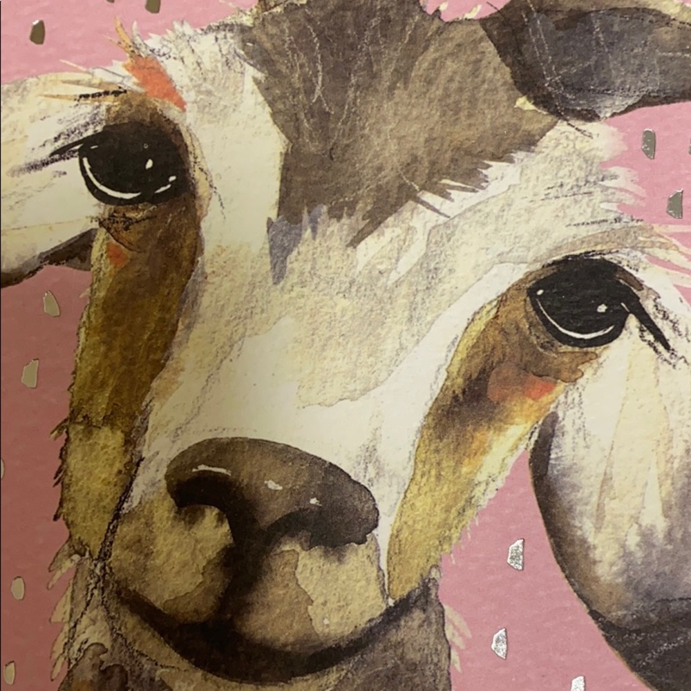 Meet your Posher, Sara